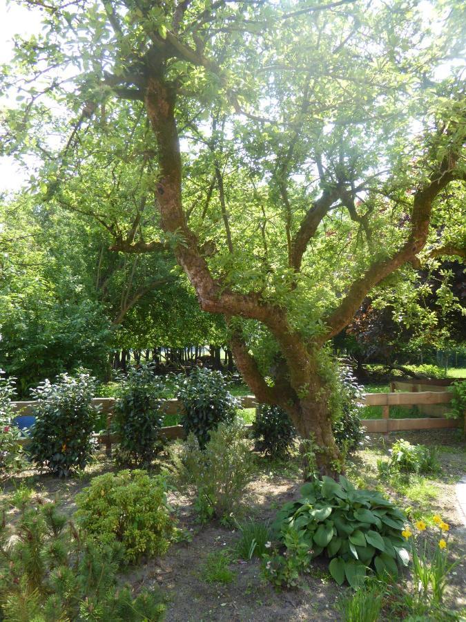 Ferienwohnung Elise Im Gulfhof Am Kanal Grossefehn Екстериор снимка